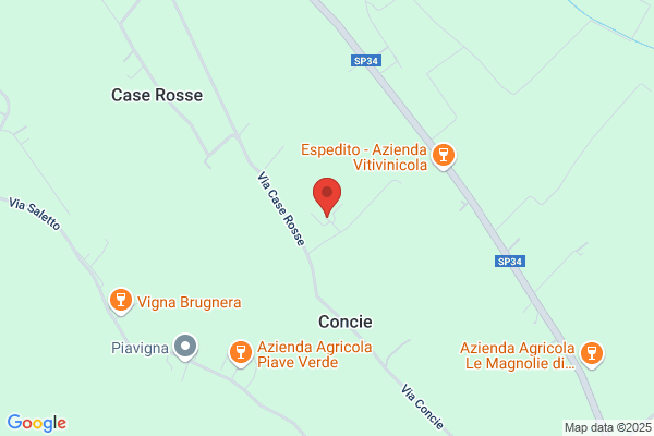 Mazzariol leone