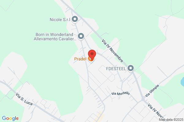 Mayer Arredi Di Pozzebon Mauro