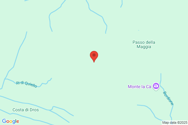 Peloso enzo