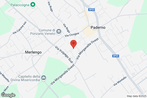 Morino martino (Geom.)