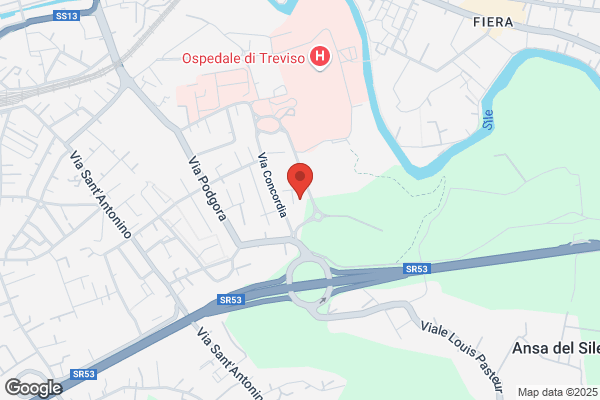 Ordine Provinciale Dei Medici Chirurghi E Degli odontoiatri Di treviso