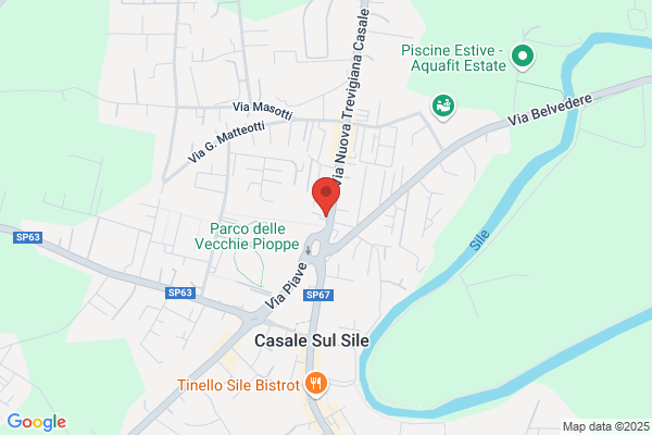 Tipografia Tarvisium Di Avoledo Ruggero E Fabio snc