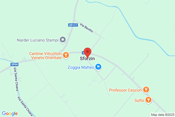 Sforzin sergio (Rag.)