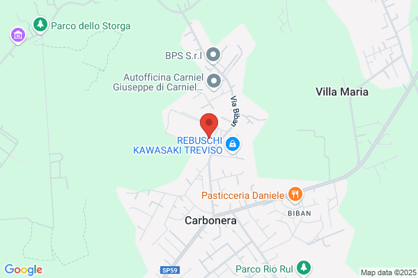 Cartoplastica