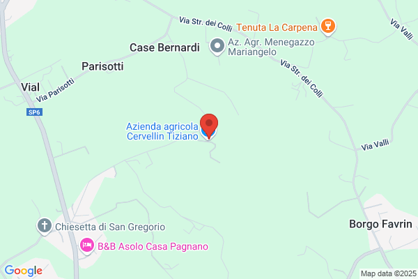 Cervellin,francesco