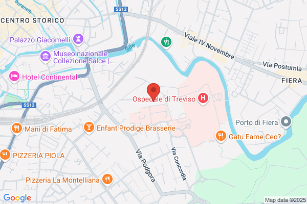 Metamodus Di Frasca Massimiliano