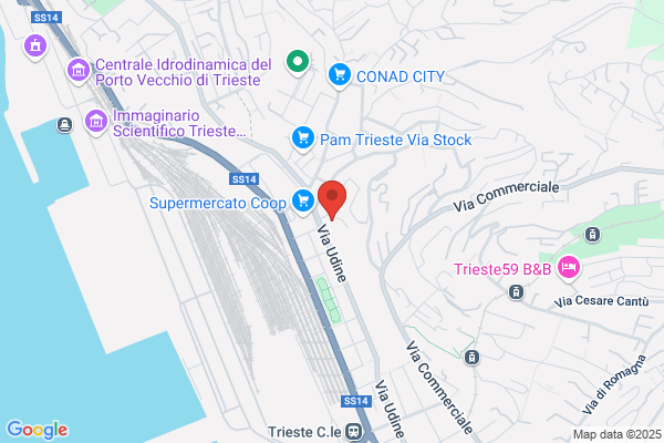 Centro Revisioni Roiano