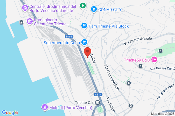 Monte Investigazioni Sas