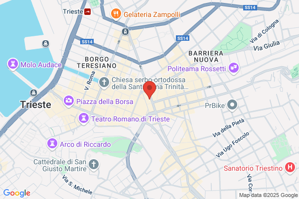 G.Bizzarini E D.Marzi Srl