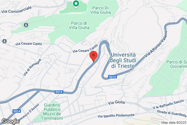 Mariani antonio