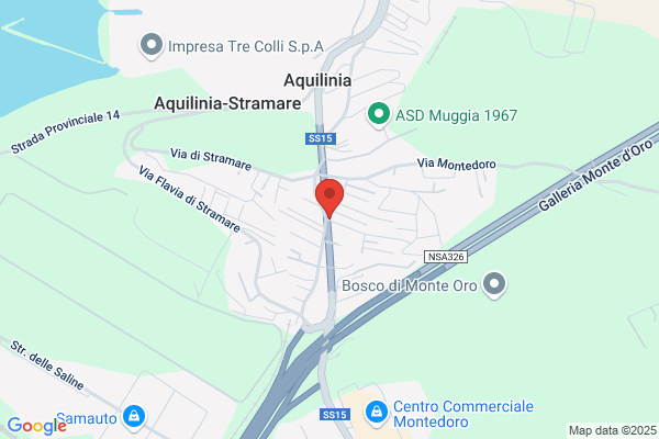 Perna marcello (Dr.)