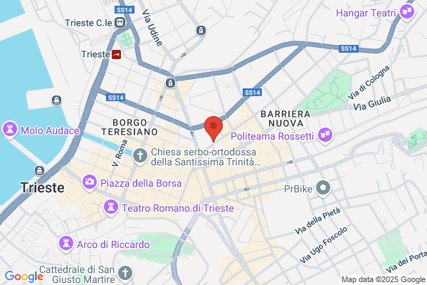 Rodizza viviana (Avv.)