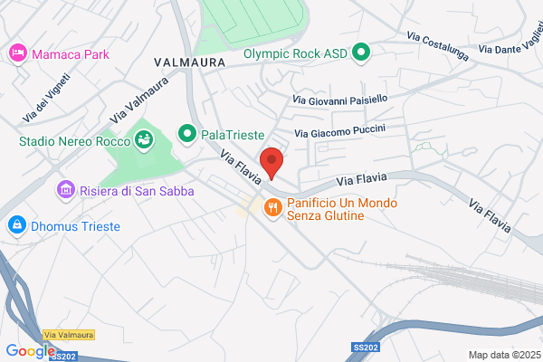 Suore Di Carita Dellassunzione