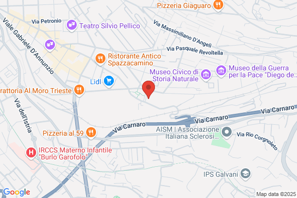 Trieste Computer Srl