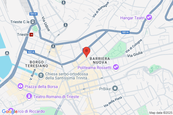 Pettener marinella (Dr.)