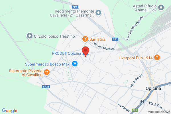 Prodet Opicina
