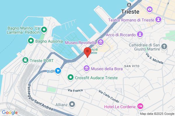 Universita Degli Studi Di Trieste