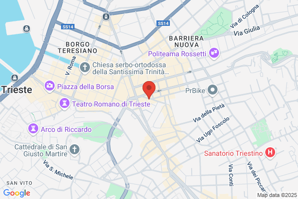 Partito Della Rifondazione Comunista