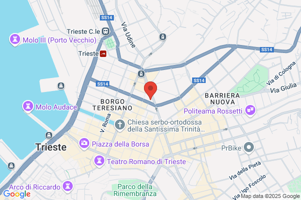 Samec franco (Geom.)