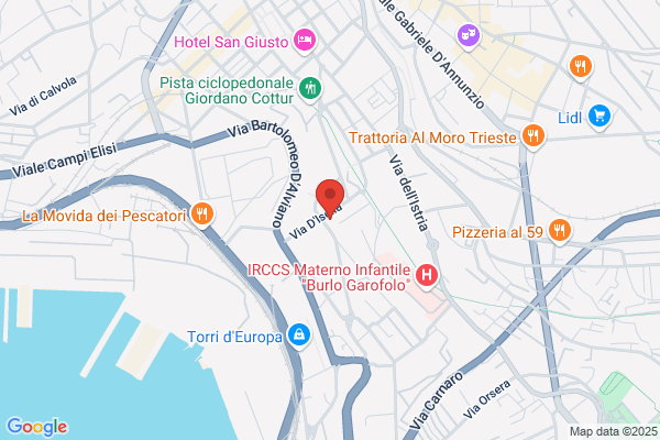 Consorzio Unico Delle Autoscuole Triestine