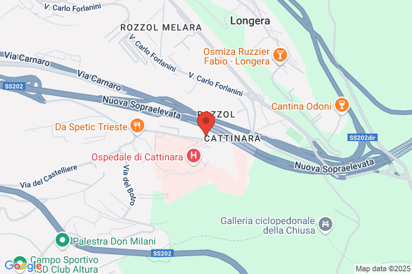 Italiana Ristorazione (S.R.L.)