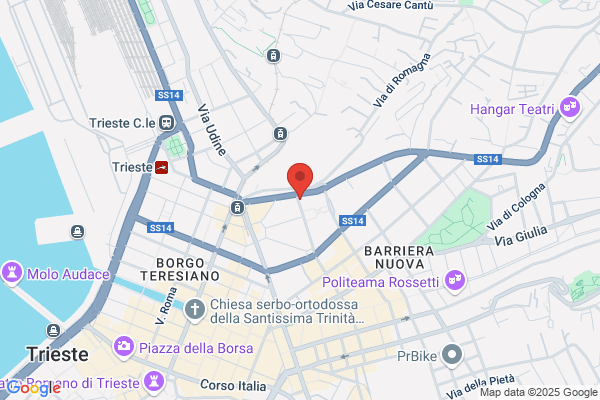 Federazione Delle Rappresentanze Sindacali Di Base