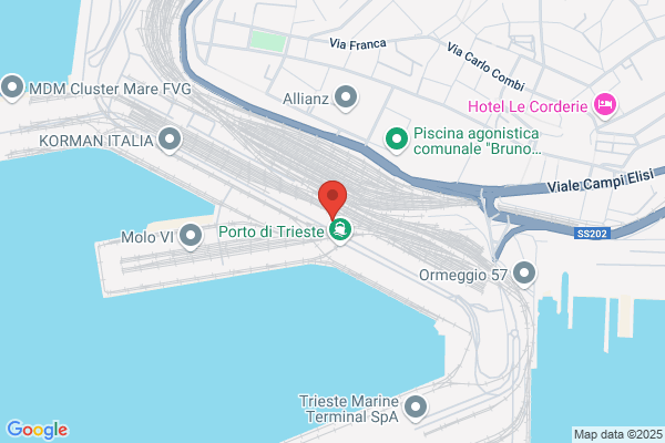 For Trans (S.R.L.)