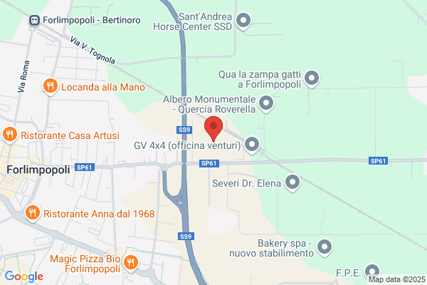 Lorenzi Impianti (S.R.L.)