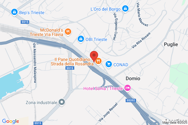 Vecogest Srl