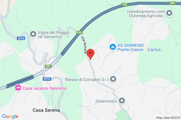 Top Flor Sanremo Srl