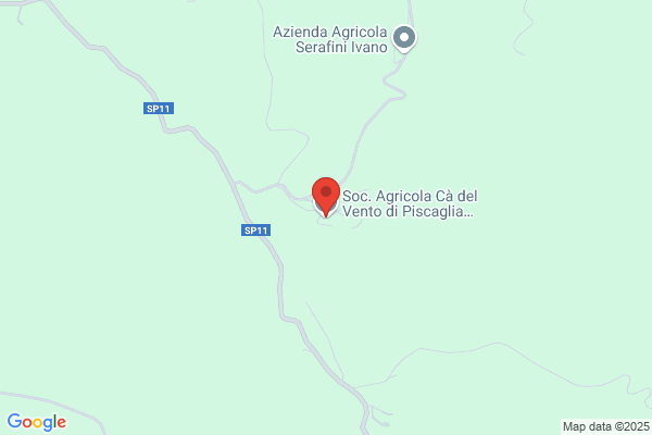 Vento domenico