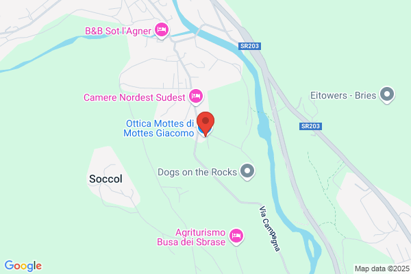 Agordina Viaggi S.A.S.