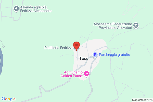 Fedrizzi Guido & Figlio (S.N.C.)