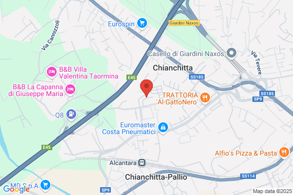 Naxos Travel Service