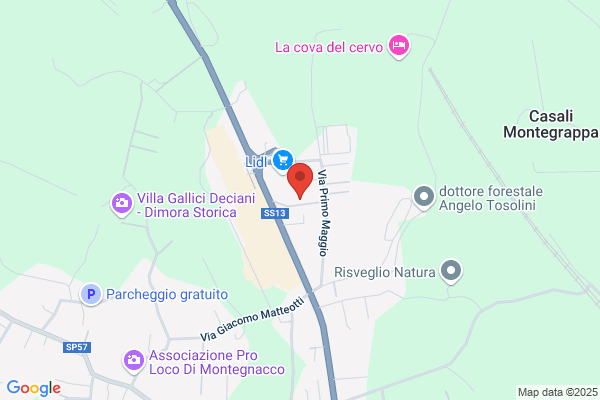 Motoracing Di Bertoni Gian Franco