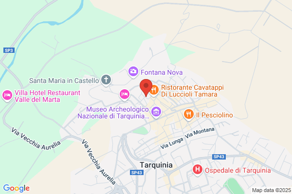 Pelucco Avv. Raniero Avvocato