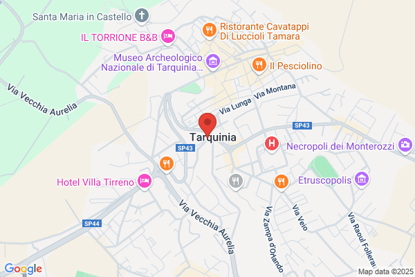 Spagnolo cosimino