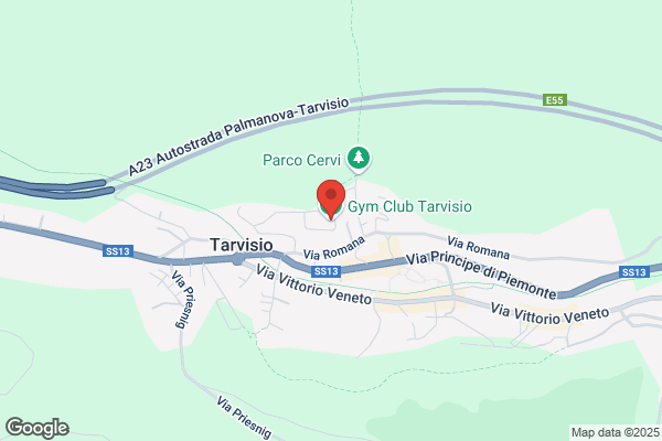 Gym Tarvisio