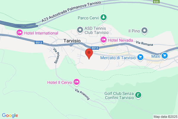 Tolazzi anastasio (Geom.)