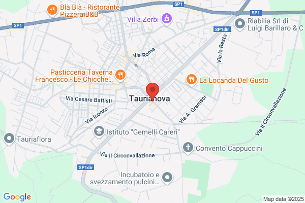Guardia Di Finanza