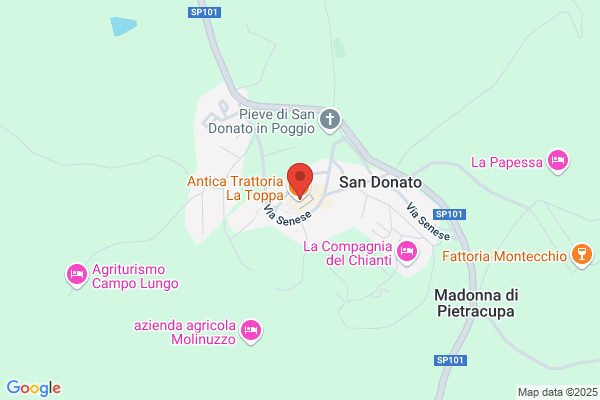 Vettori Pacileo rachele (Dr.)