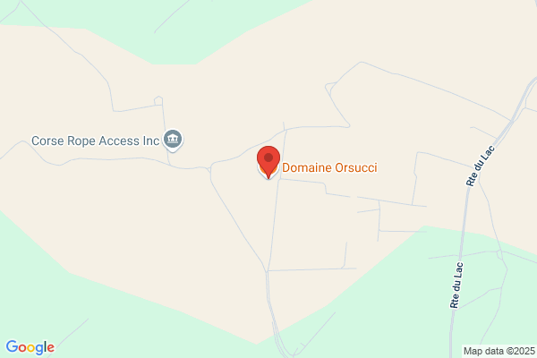 Orsucci (S.P.A.)