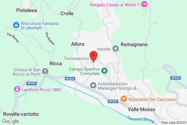 Termoservizi