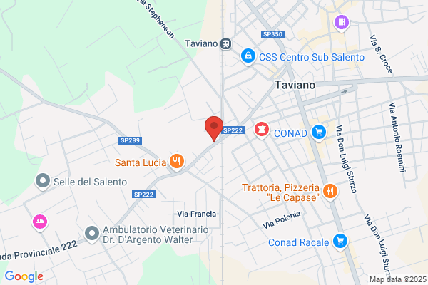 Lozzi Carla Elettromeccanica