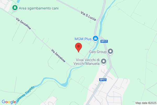 Manni roberto
