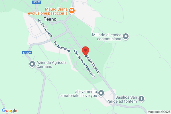 Ventriglia lazzaro