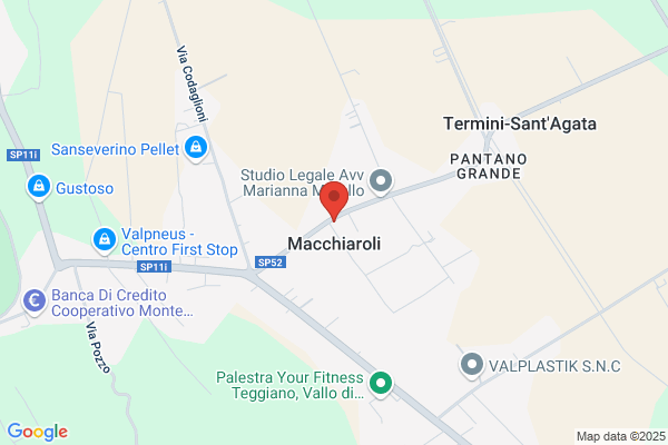 Manzione paolo