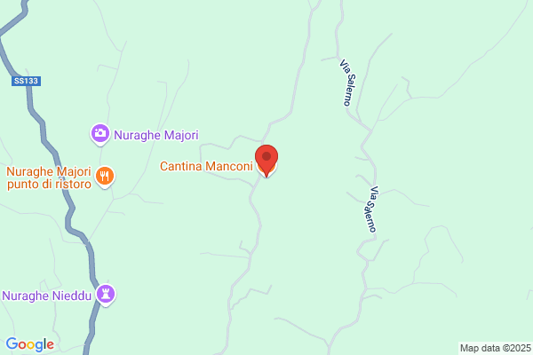 Manconi gavinuccio