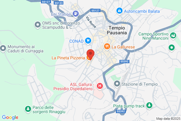 Enel Distribuzione Spa