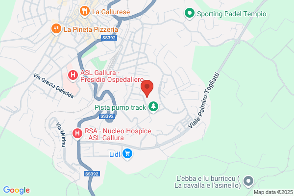 Istituto Carlo Federico Gauss